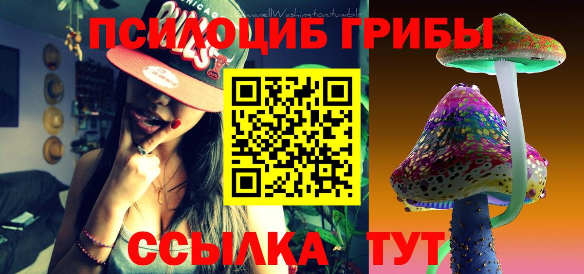 Нововоронеж  Псилоцибиновые грибы ЛСД  Вход с VPN 